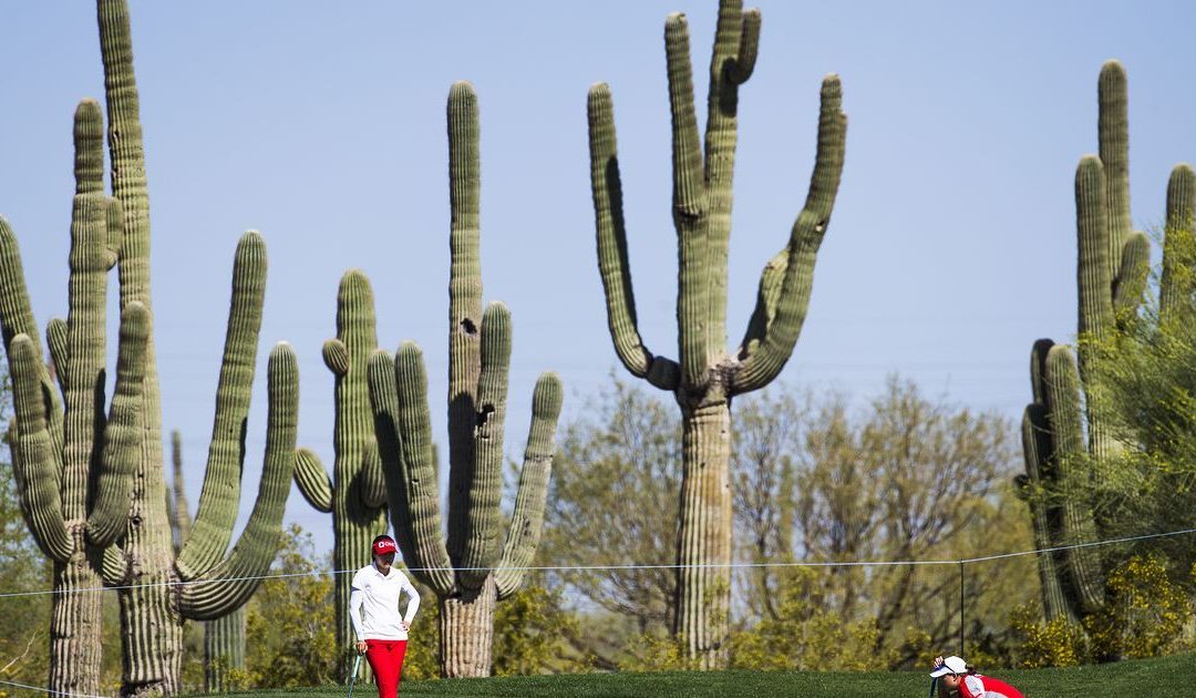 LPGA Tour players love Arizona