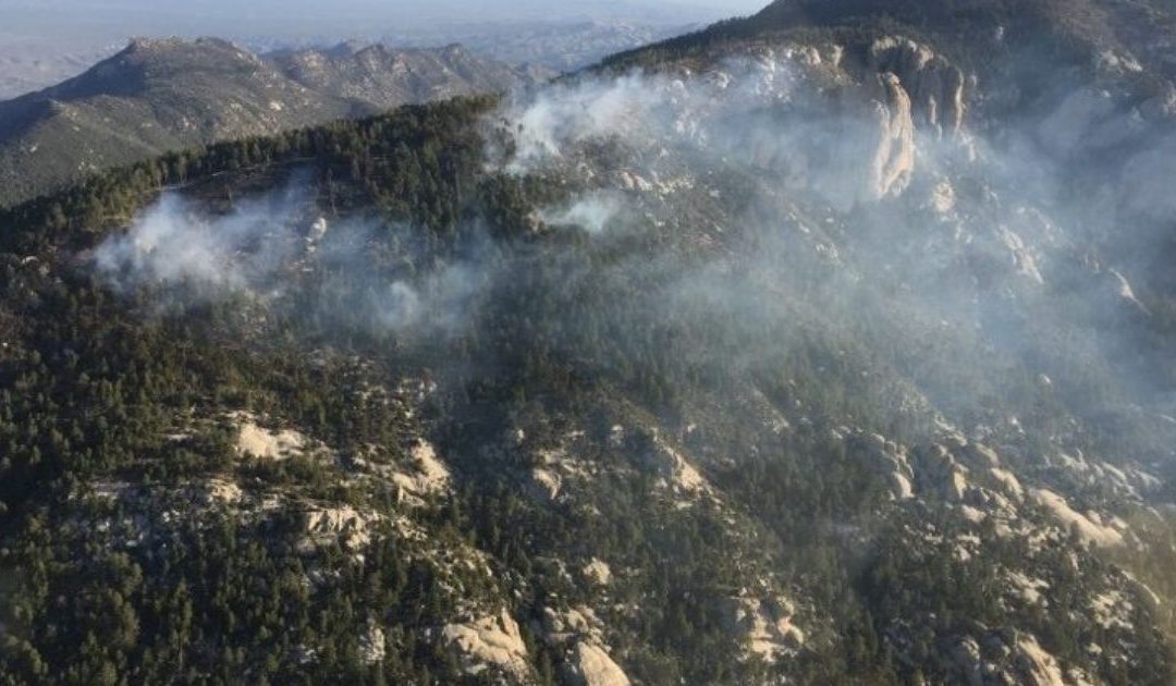 Shovel Fire at 10 acres on Mt. Lemmon, burning slowly