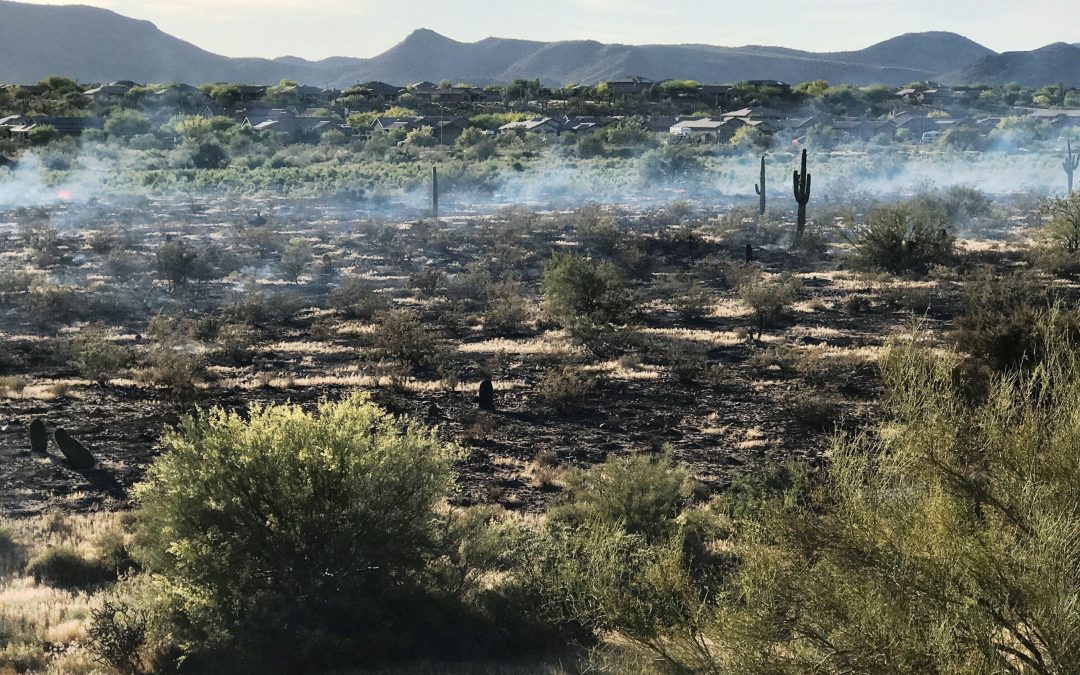 Crews battle 20-acre Anthem brush fire