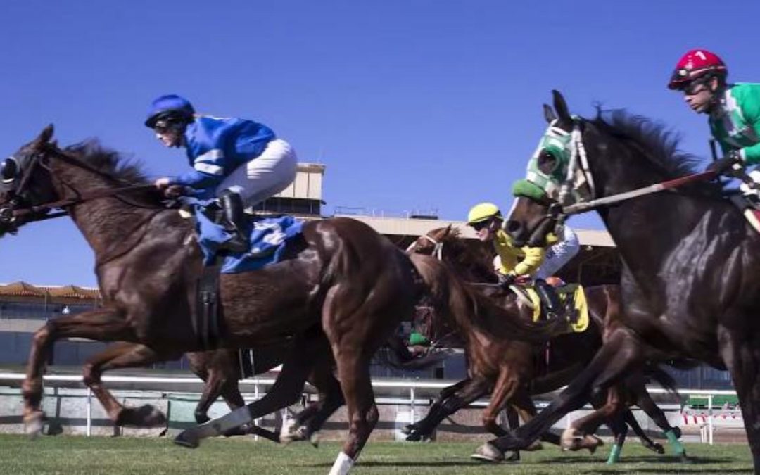 Brothers battle over Turf Paradise