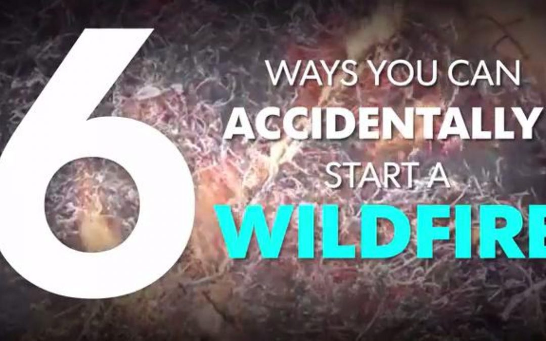 6 ways you can accidentally start a wildfire