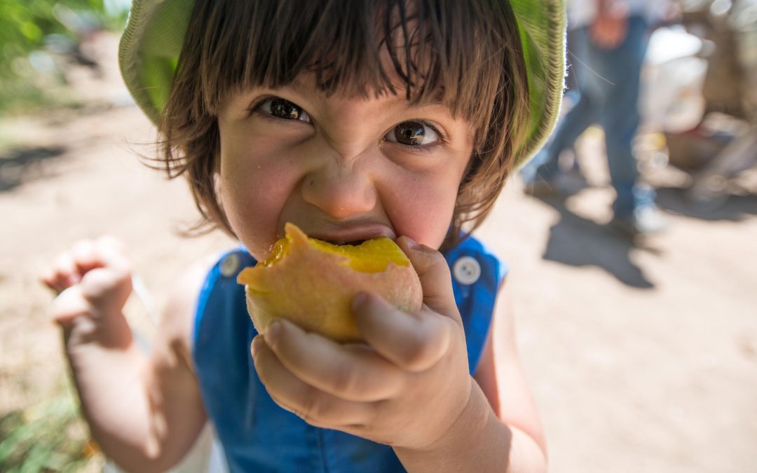 Sink your teeth into Schnepf Farms Peach Festival