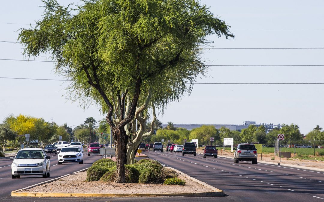 How a slab of Chandler asphalt ended up owing $90K in back taxes