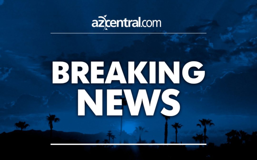 1-year-old dies from injuries suffered in Phoenix dog attack
