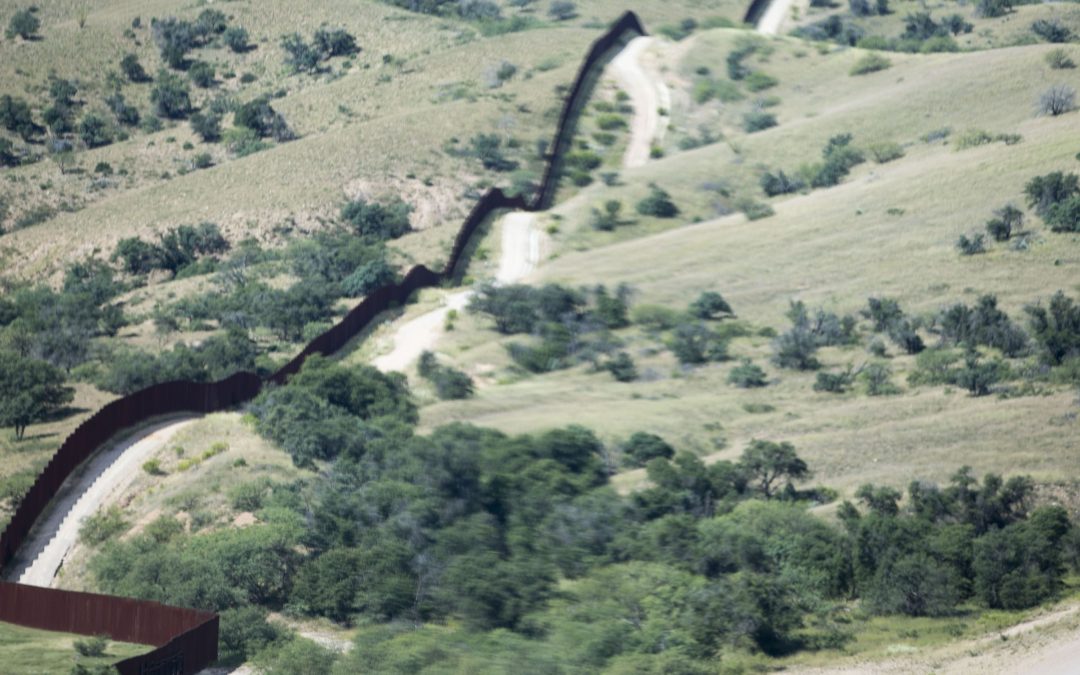 Environmental group targets border wall project, says prototypes will imperil desert species