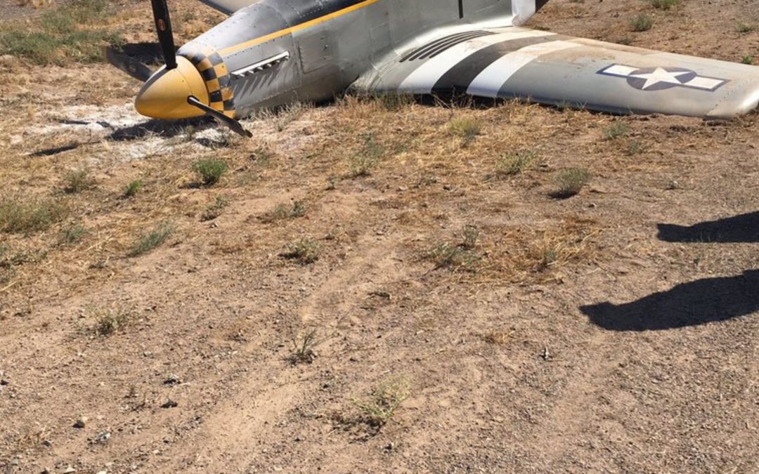 Pilot uninjured following Goodyear plane crash