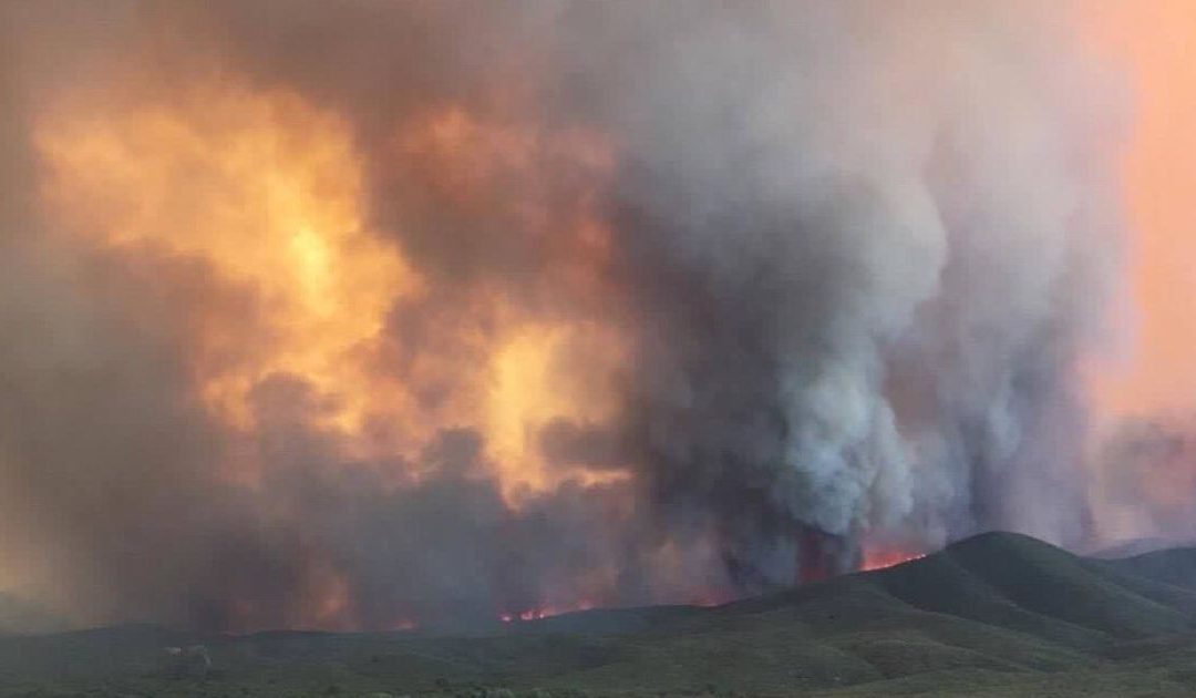 Arizona declares state of emergency for Goodwin Fire