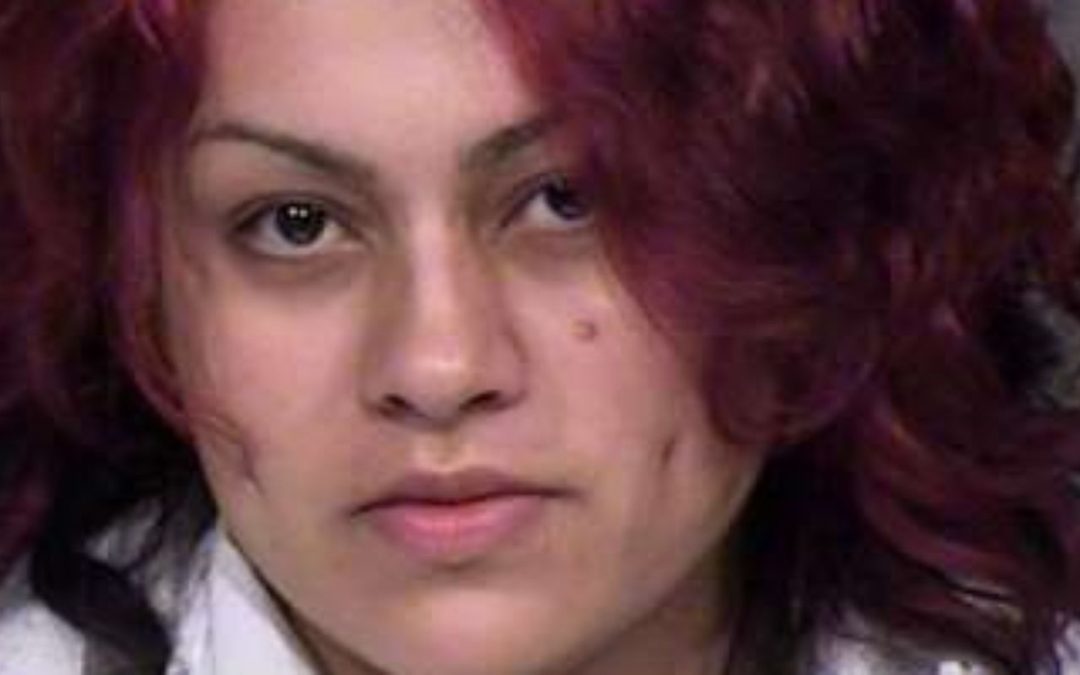 Avondale mom found guilty except insane in twins’ 2015 drowning deaths
