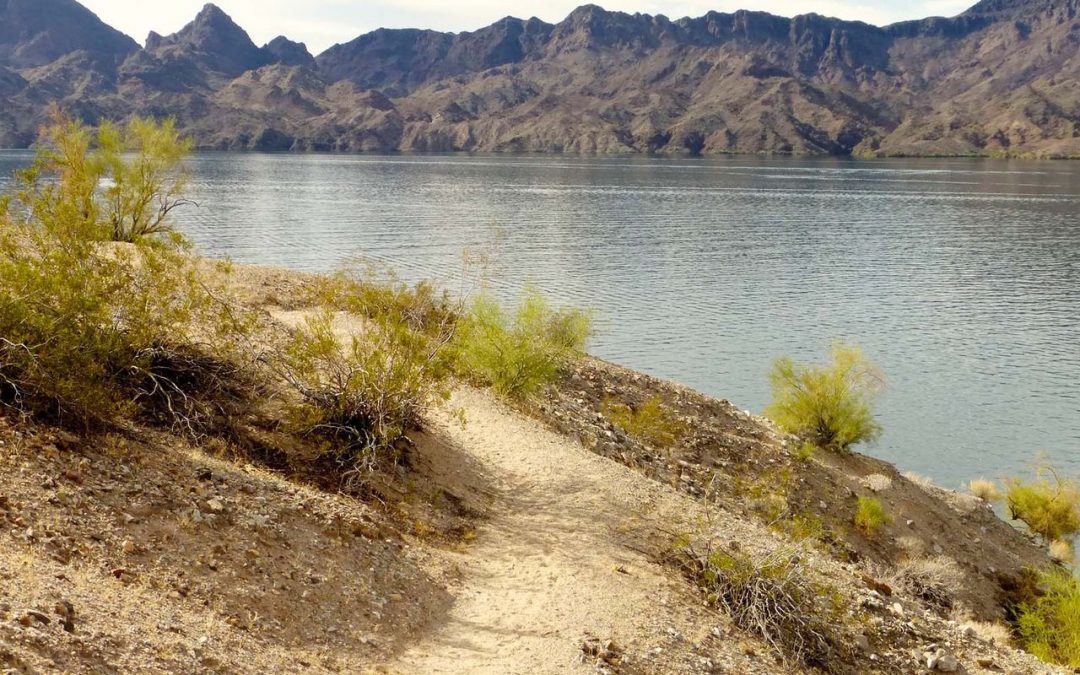 California couple dead after jumping into Arizona lake