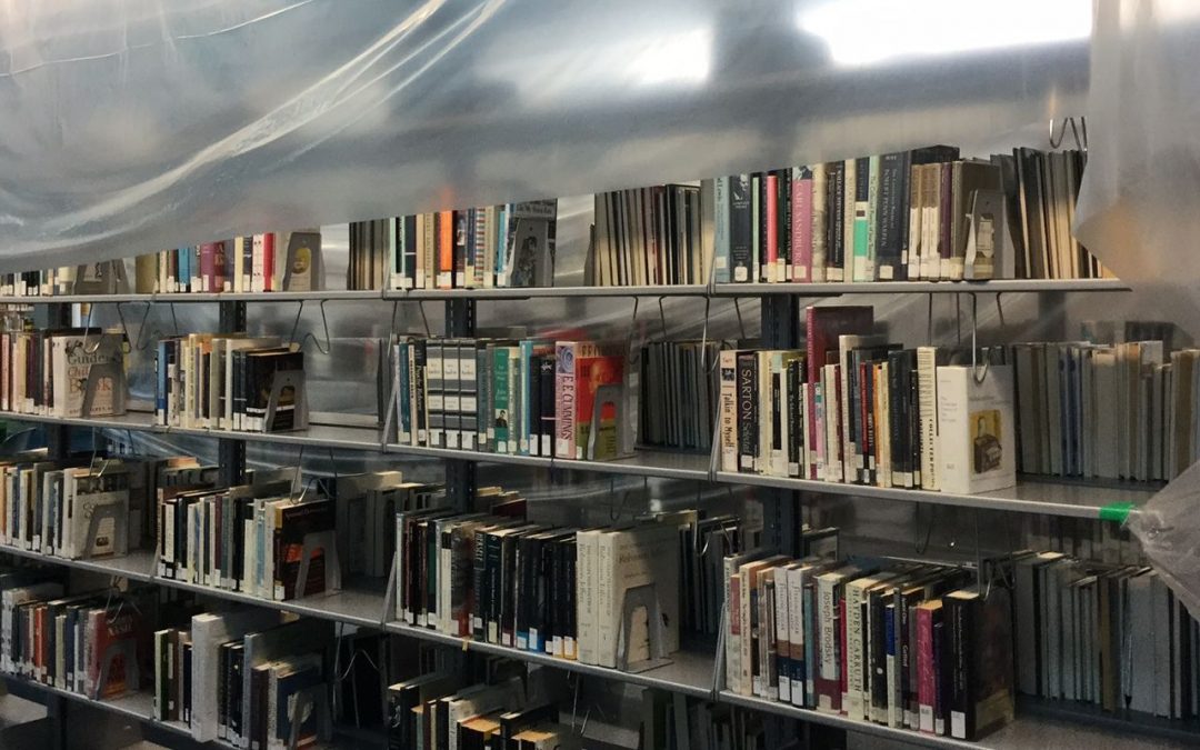 No timeline for Burton Barr library reopening after storm damage