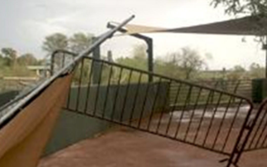Storm damage forces Phoenix Zoo closure