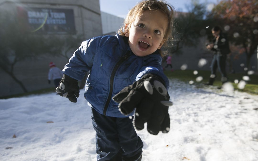 Arizona Science Center Snow Week 2017