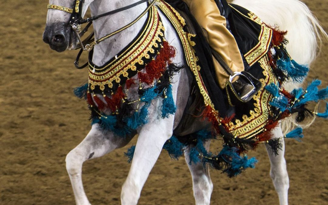The prestigious Scottsdale Arabian Horse Show is at WestWorld in Feb.