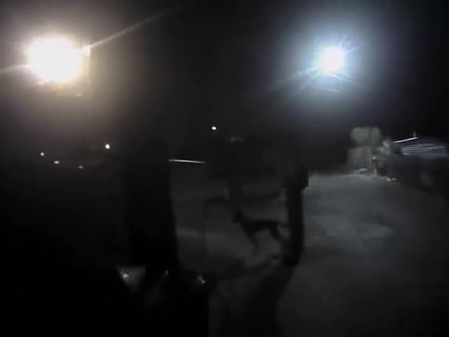 Body cam footage: Moments leading up to MCSO deputy shooting dog that attacked a K-9