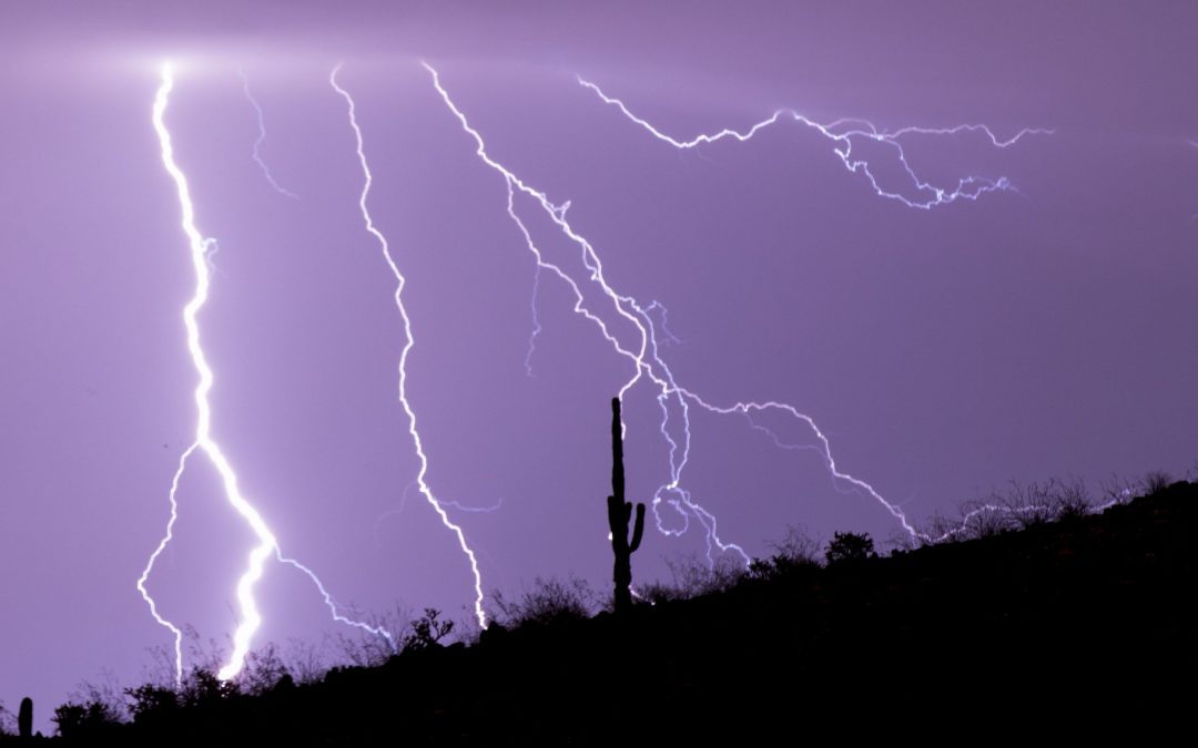 Phoenix sees 2nd most active monsoon since 1988