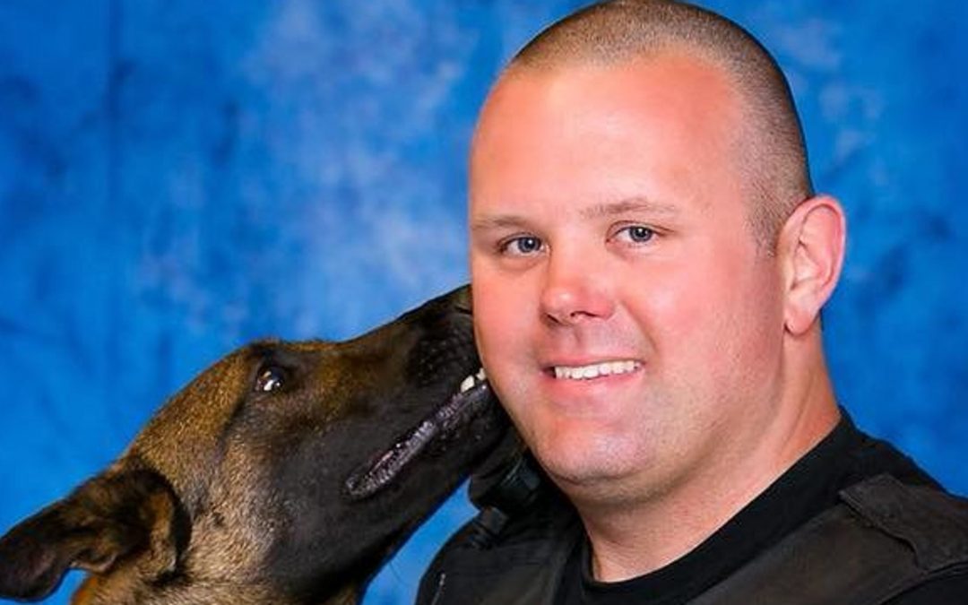 Glendale police K-9 dog shot during pursuit recovering after surgeries