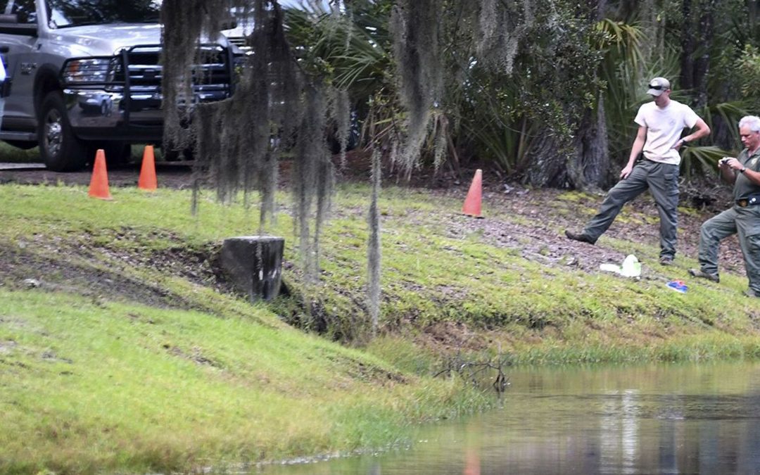 Alligator attacks, kills woman with dog in Hilton Head, South Carolina