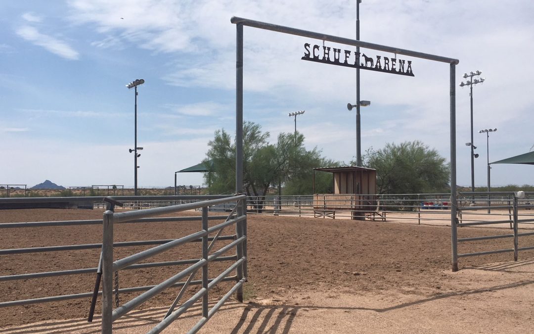 Phoenix community has big plans for Horse Lovers Park