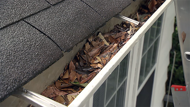 How to Clean Gutters and Downspouts