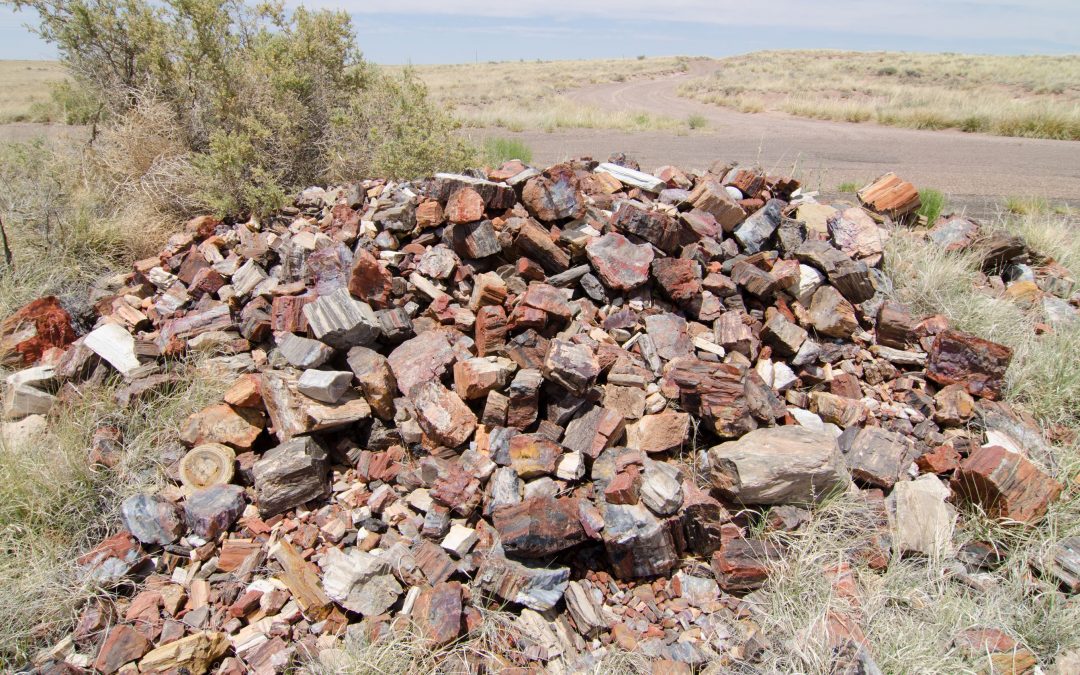 Rocks returned to Petrified Forest National Park sit in ‘conscience pile’