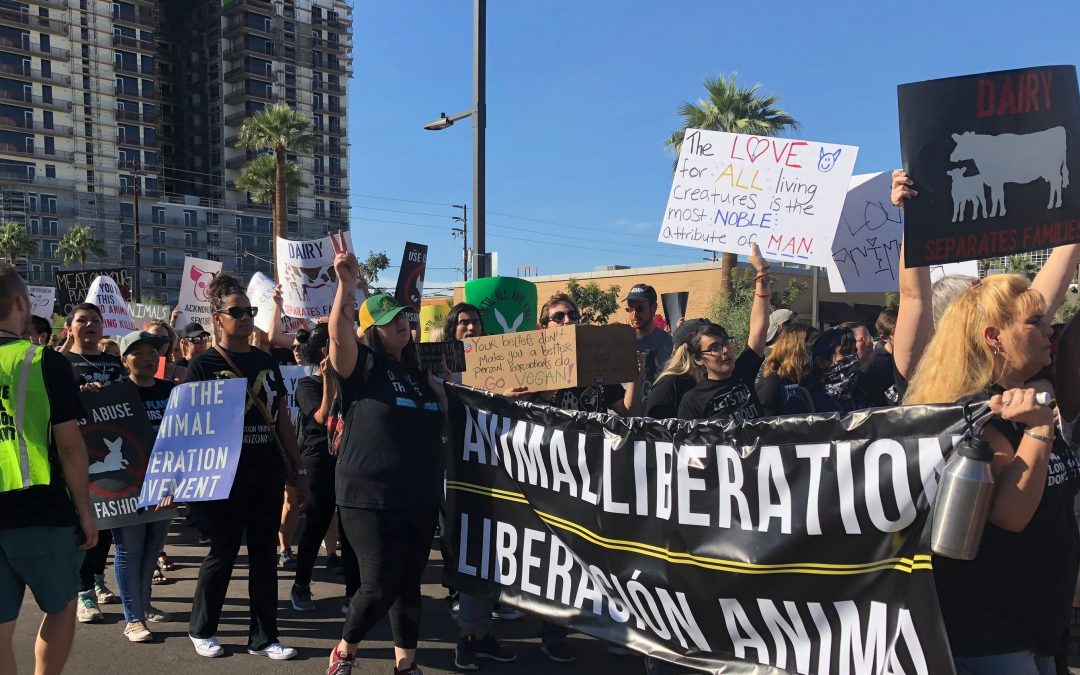 Animal Liberation Movement protesters seek justice for animals