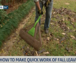 Why You Should Rake Leaves – Today's Homeowner