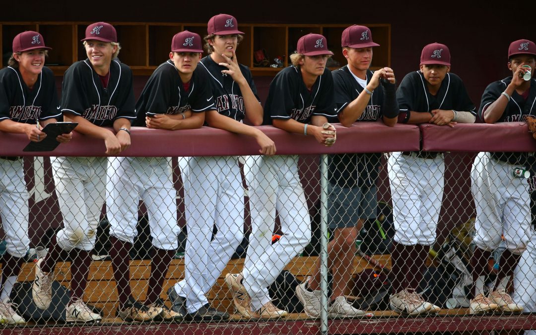 Arizona high school baseball 2019 Super 10 teams