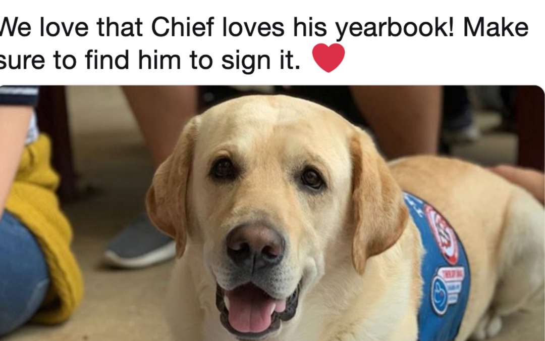 Parkland students honor therapy dogs with yearbook page