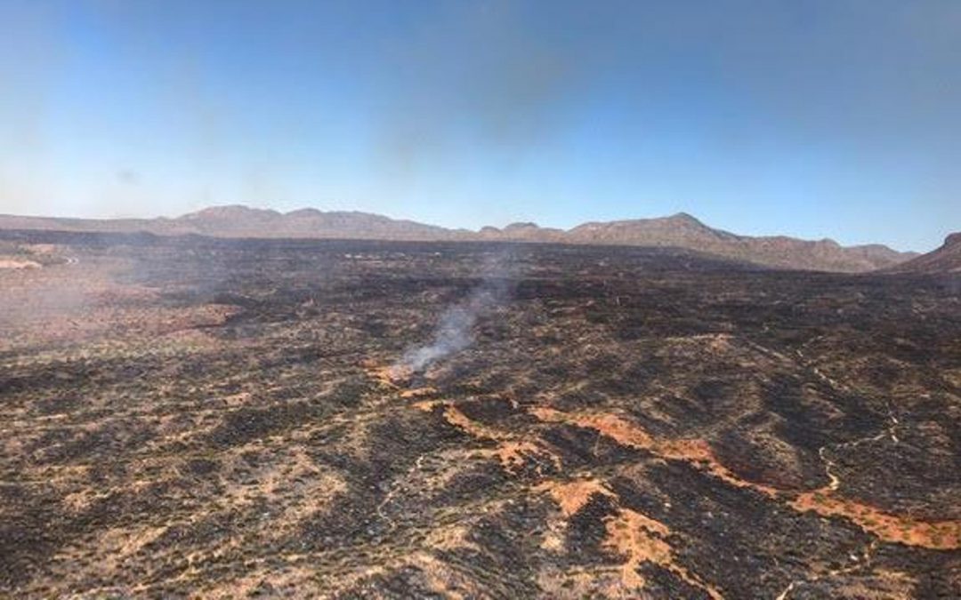 Mountain Fire in Tonto National Forest at 7,260 acres, 50% contained