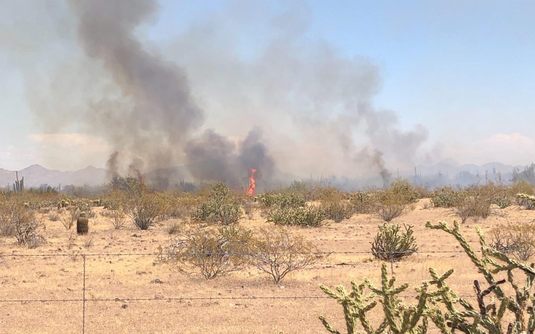 Brush fire in north Phoenix grows to 200 acres