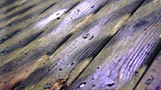 Sap Oozing from Deck Boards & A Shrinking Floor