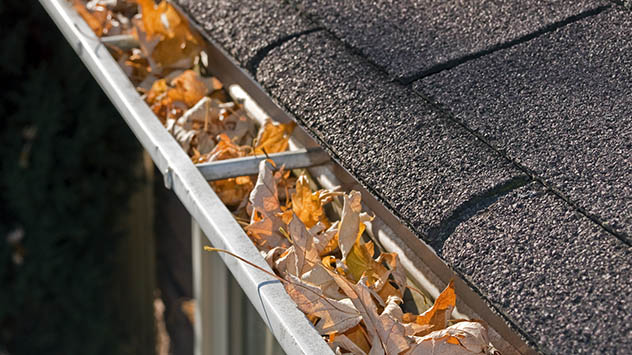 4 Tips to Prevent and Handle Roof Damage in the Fall