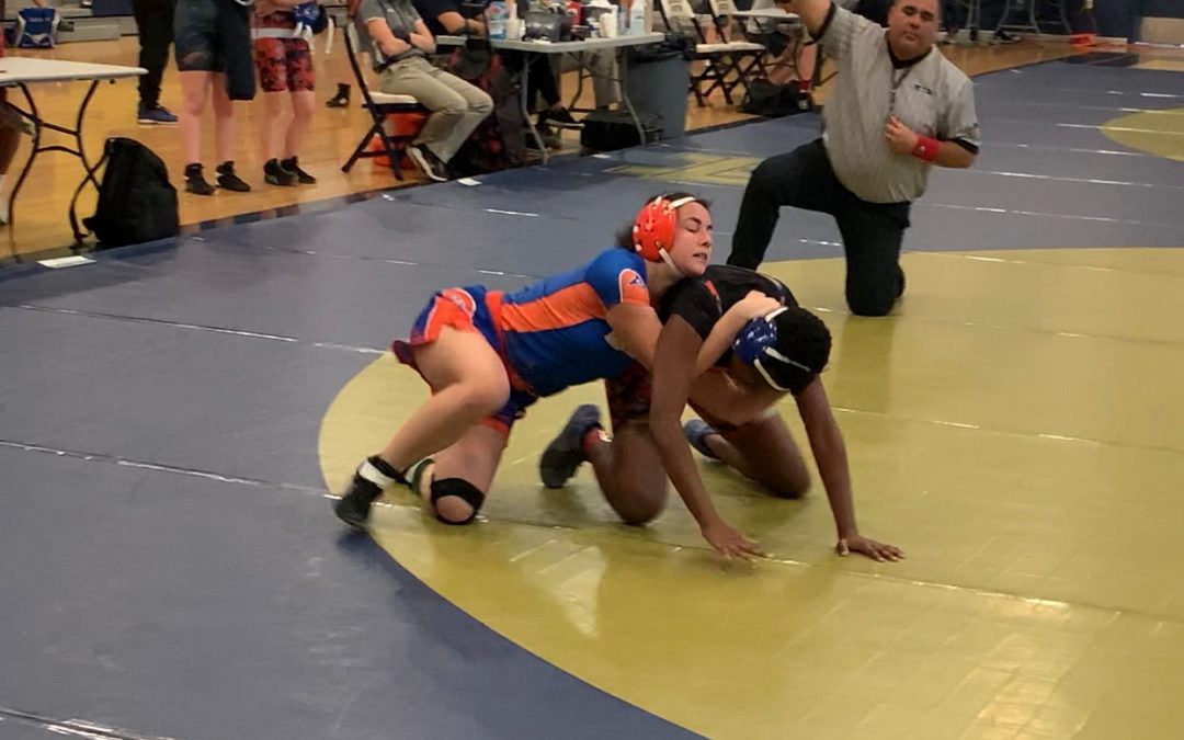 Arizona high school girls wrestling sectionals