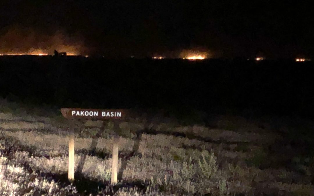 Basin Fire burning in Grand Canyon-Parashant National Monument