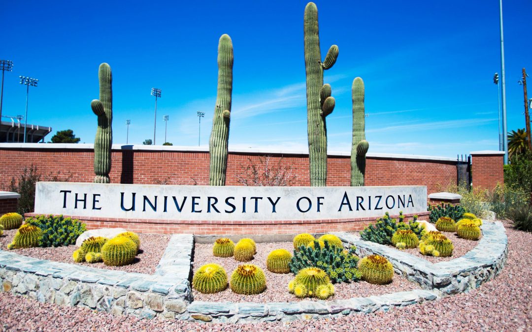 University of Arizona cancels spring break to mitigate COVID-19 spread