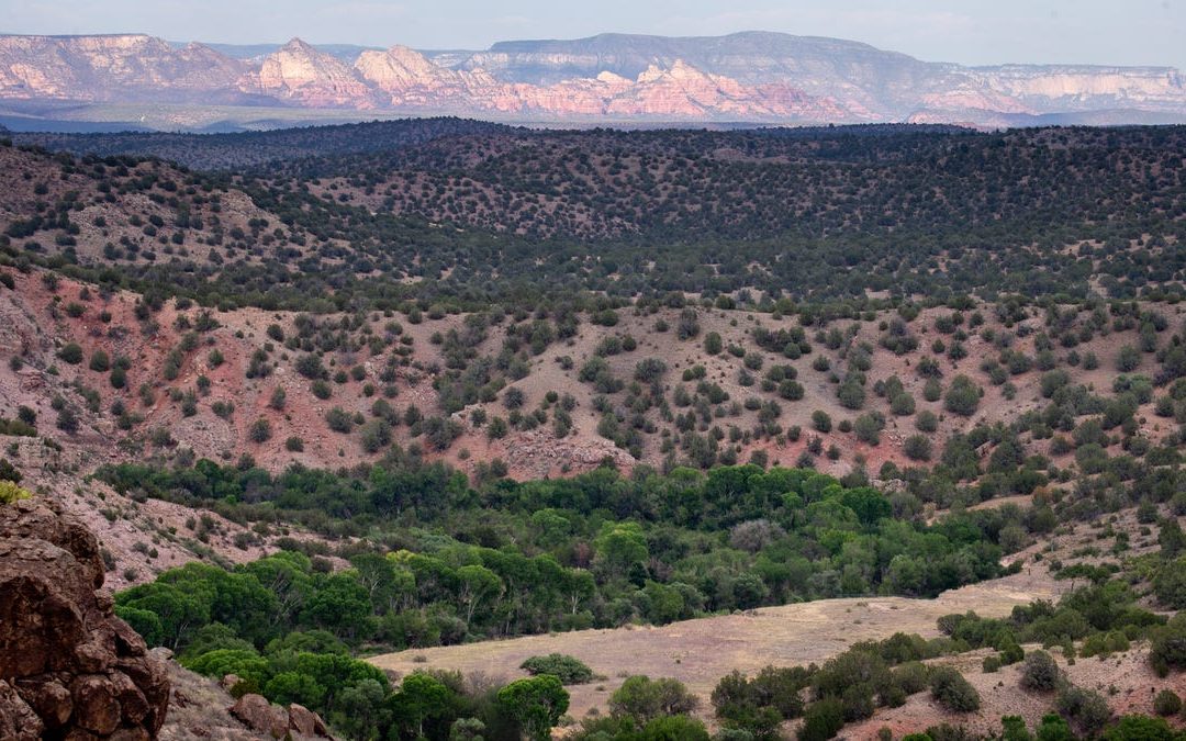 Explore the Verde River and see how its groundwater levels are shrinking