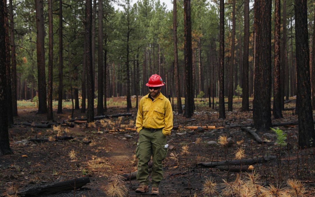 Climate change may take ‘good fire’ away from forest managers