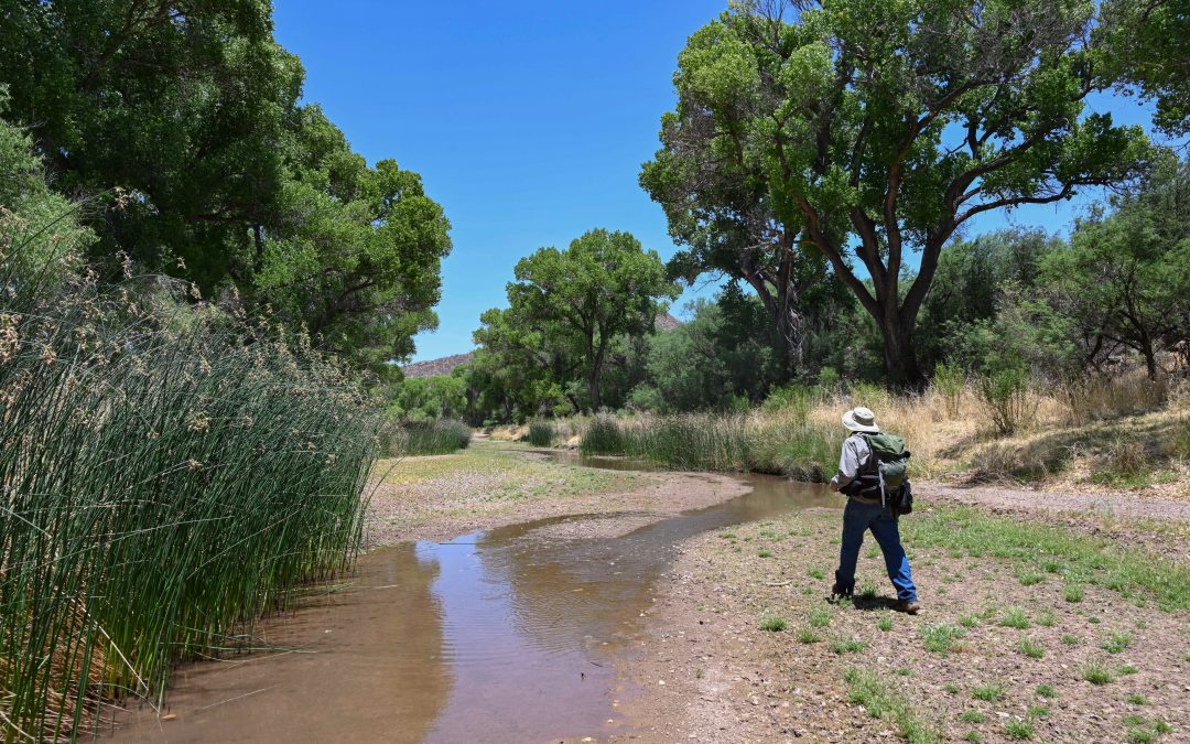 Arizona’s San Pedro River faces growing threats from groundwater use