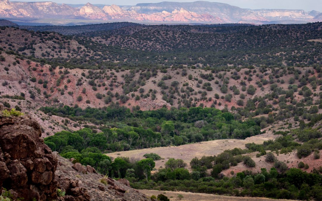 Arizona’s Verde River at risk from groundwater pumping